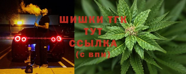 ПСИЛОЦИБИНОВЫЕ ГРИБЫ Алзамай