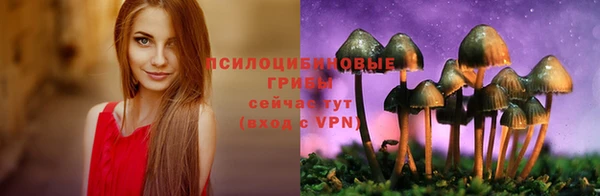 ПСИЛОЦИБИНОВЫЕ ГРИБЫ Алзамай