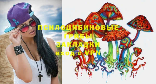 ПСИЛОЦИБИНОВЫЕ ГРИБЫ Алзамай