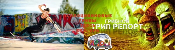 ПСИЛОЦИБИНОВЫЕ ГРИБЫ Алзамай