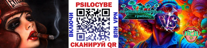 купить наркотики цена  Чкаловск  Галлюциногенные грибы Psilocybine cubensis 